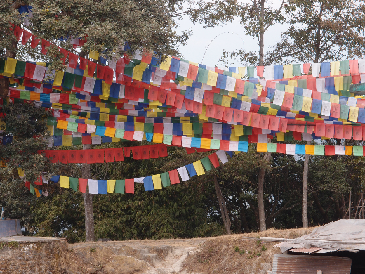 2018-01-16 12 Uhr - Im Shivapuri Nagarjun National Park (Nagi Gumba) (Foto) 